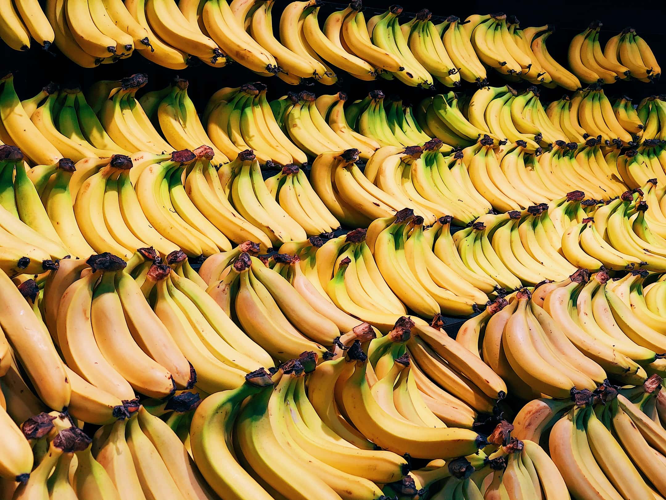 Get Ready to Go Bananas with Fast Monkey Auto at This Year's Maple Leaf Parade in Carthage, Missouri